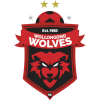 Wollongong Wolves